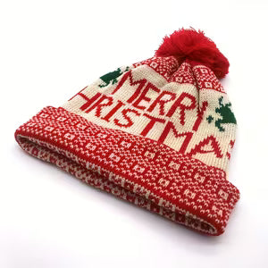 Christmas Thick Winter Warm Hat
