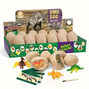 12 Unique Dinosaur Fossil Eggs