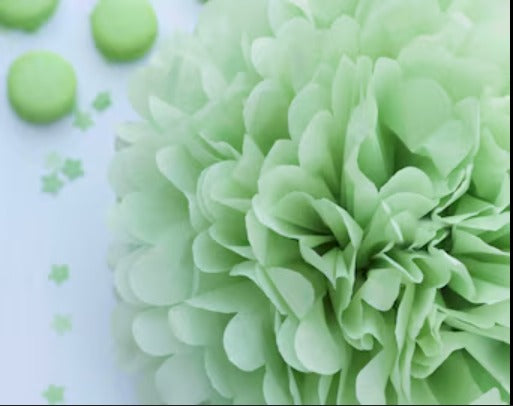 Tissue Paper Pompom Flower - Mint Green