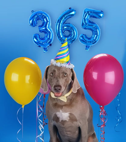 16" Foil Number Balloon - Blue
