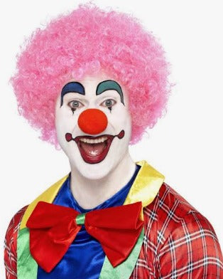 1 pc  Colorful Clown Wig Set