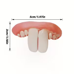 One Piece of Amusing Dog Dentures